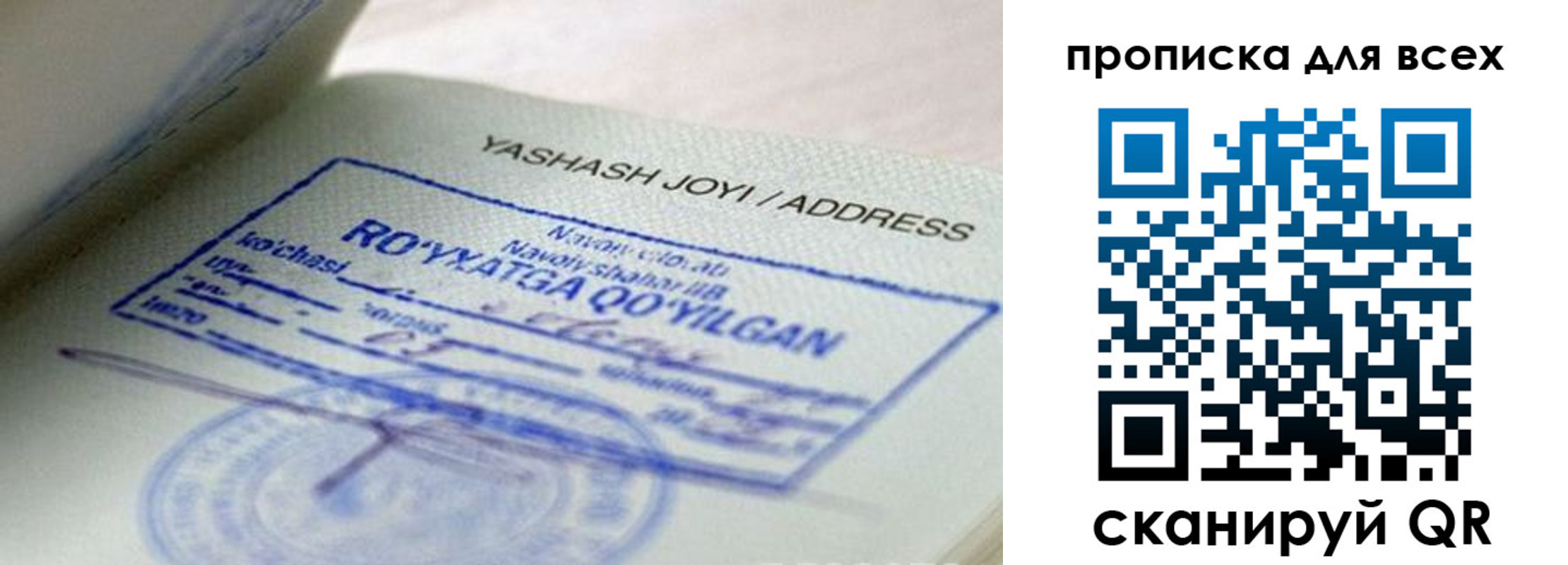 временная регистрация поиск в Новгородской области